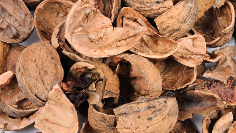 What is Walnut Shell Powder