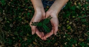 Eco-Friendly Gilsonite